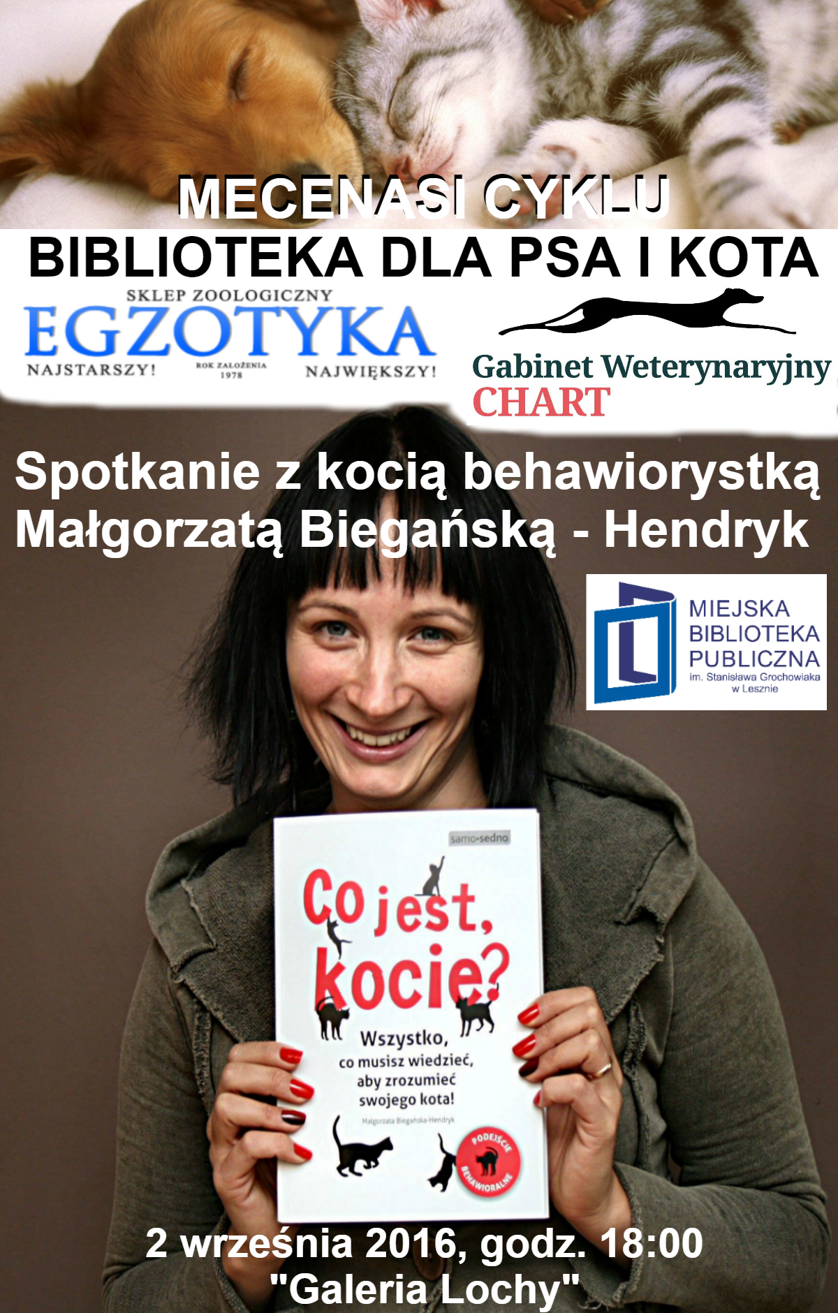 koty i psy plakat ostateczny