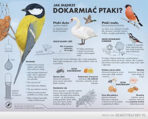 1511262588_w6cvvu_600