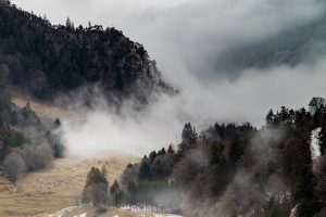 fog-4597348_1920